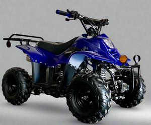 Coolster Moccasin 110cc ATV-3050C