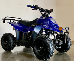 coolster 110cc kids atv for sale.