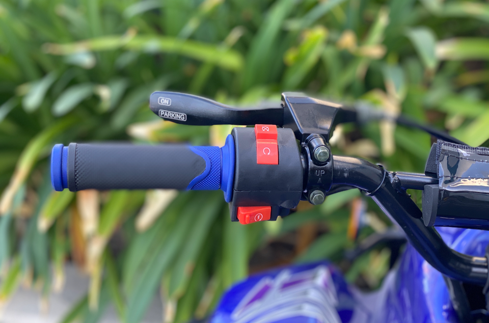 Coolster Moccasin 110cc ATV-3050C