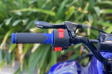 Coolster Moccasin 110cc ATV-3050C