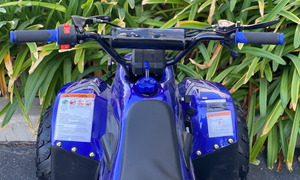 Coolster Moccasin 110cc ATV-3050C
