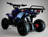 Coolster Moccasin 110cc ATV-3050C
