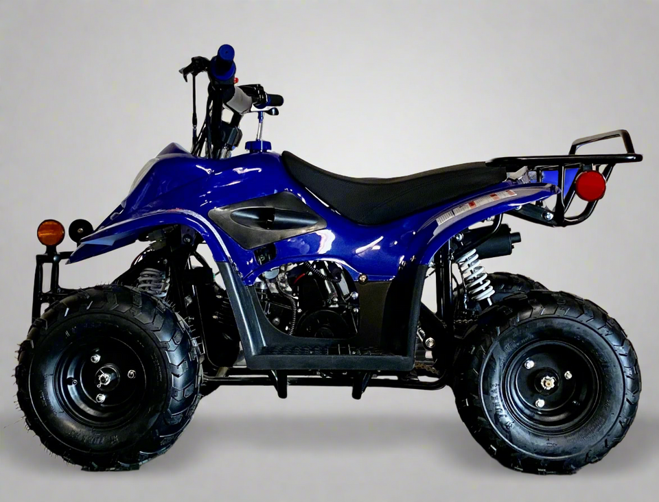 Coolster Moccasin 110cc ATV-3050C
