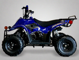 Coolster Moccasin 110cc ATV-3050C
