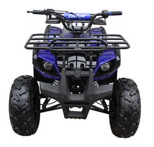 Coolster ATV3125XR8U ATV 125cc ATV3125XR8US 4 wheeler quad for cheap blue