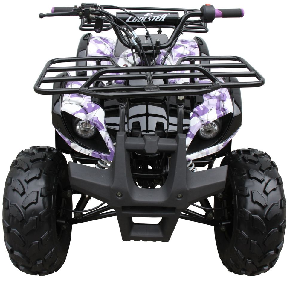 Coolster ATV3125XR8U ATV 125cc ATV3125XR8US 4 wheeler quad for cheap purple
