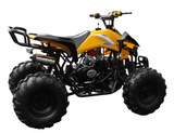 Raptor 125cc Quad Sport ATV - Semi-Automatic - ATV-3125C-2