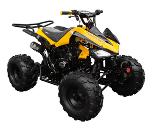 Raptor 125cc Quad Sport ATV - Semi-Automatic - ATV-3125C-2