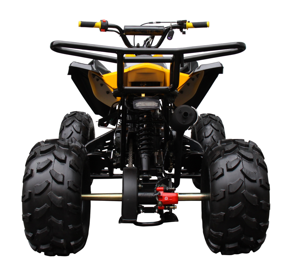 Raptor 125cc Quad Sport ATV - Semi-Automatic - ATV-3125C-2