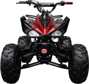 Coolster 125cc atv ATV-3125CX-2 