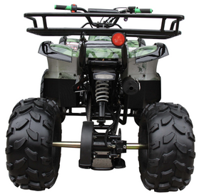 coolster 125cc automatic teen atv