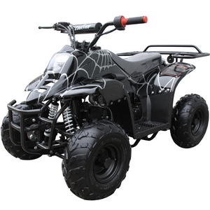 Coolster 110cc ATV-3050C 4 wheeler for kids free shipping black