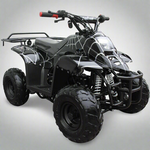 coolster ATV-3050C black 110cc kids quad for sale