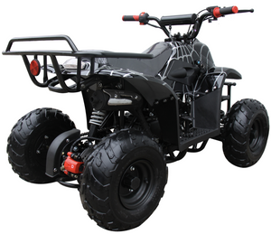 Coolster Moccasin 110cc ATV-3050C