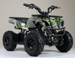 Buy Kandi Ultimate 50cc Utility ATV Quad - Fully Automatic - KD60A-1N