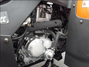 Verado Quest 250cc Full Size ATV - 4-Speed Manual