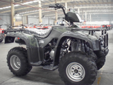 Verado Quest 250cc Full Size ATV - 4-Speed Manual Camo Green