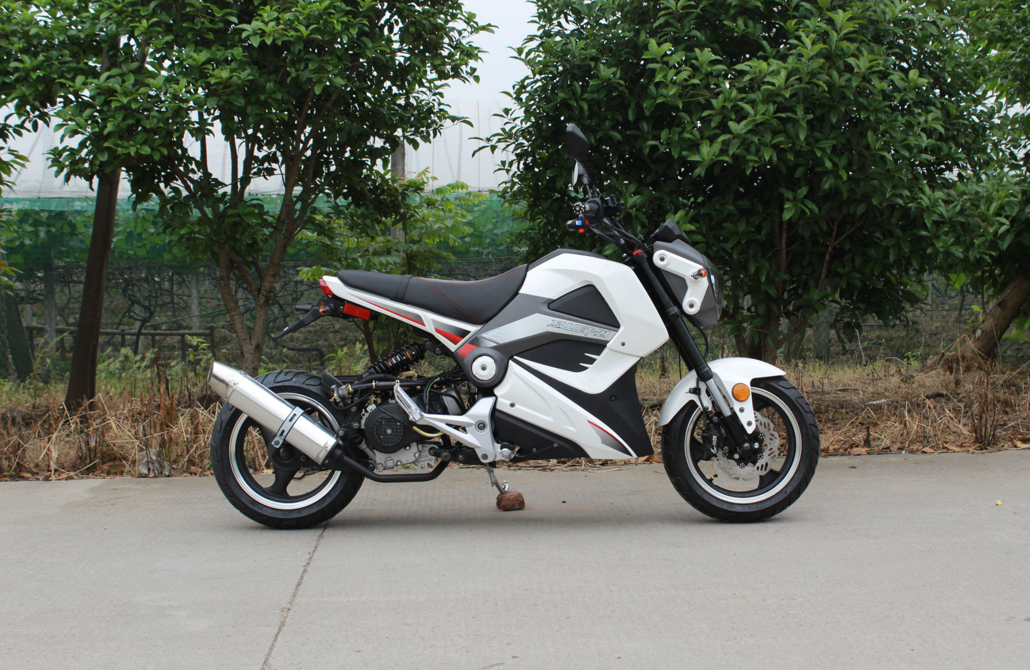 50cc bullet bike cheap