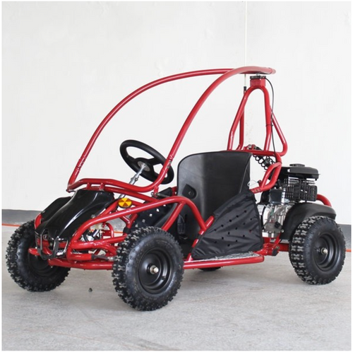 Kids Speed Racer 80cc Go Kart - DF80GKS