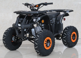 Ace 125cc ATV | Automatic + Reverse | B125