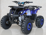 Ace 125cc ATV | Automatic + Reverse | B125