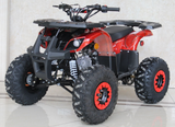 Ace 125cc ATV | Automatic + Reverse | B125