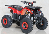 Ace B125 teen 125cc atvs