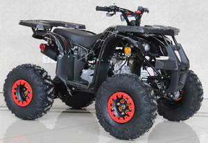 Ace 125cc ATV | Automatic + Reverse | B125