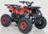 Ace 125cc ATV | Automatic + Reverse | B125