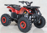 Ace B125 125cc atv for sale. selling kids atv.