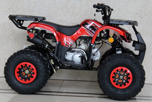 Ace 125cc ATV | Automatic + Reverse | B125