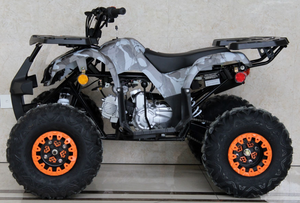 Ace 125cc ATV | Automatic + Reverse | B125