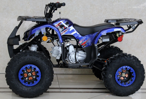 Ace 125cc ATV | Automatic + Reverse | B125