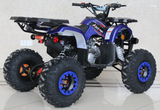 Ace 125cc ATV | Automatic + Reverse | B125