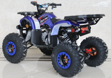 Ace 125cc ATV | Automatic + Reverse | B125