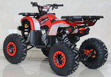 Ace 125cc ATV | Automatic + Reverse | B125