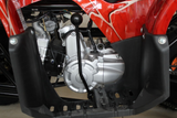 Ace 125cc ATV | Automatic + Reverse | B125