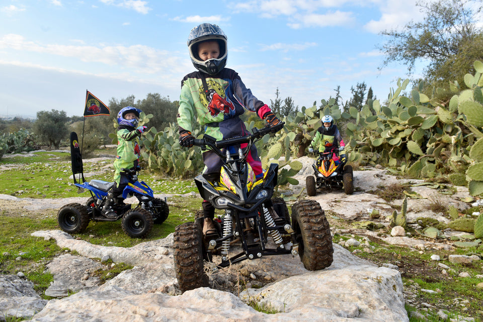 TR240 Buy TomRide ATV Quad VTT 500W 24V Free Shipping Warranty TR290 Belmonte Bikes