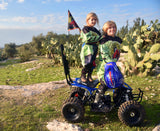 TomRide Electric ATV Quad VTT 500 Watts 24 Volts TR240