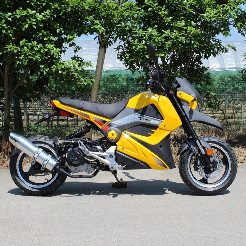geared moped Buy DF50STT 49cc Moped Scooter