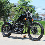 Bobber Street Legal Mini Chopper Motorcycle DF250RTA - 250cc