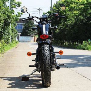 Street Legal DF250RTB 250cc Bobber Chopper Motorcycle Back View