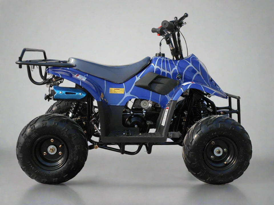 Coolster 110cc ATV ATV-3050C blue