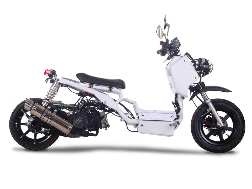 PMZ50-19 50cc street legal icebear scooter (White)